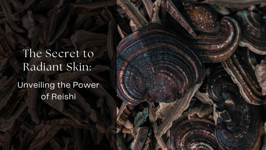 reishi mushroom skin health benefits