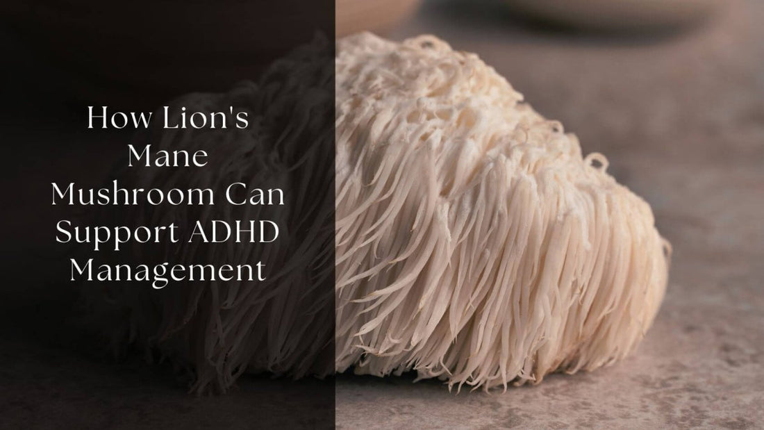 How Lion's Mane Mushroom Can Support ADHD Management