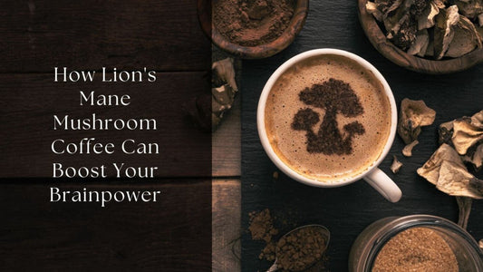 How Lion's Mane Mushroom Coffee Can Boost Your Brainpower