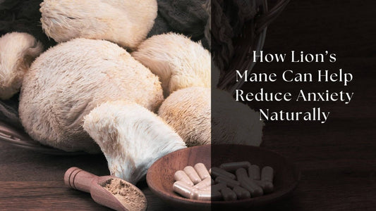 How Lion’s Mane Can Help Reduce Anxiety Naturally